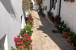Autumn 2025 - Puglia - A "Trulli" Interesting Trip!