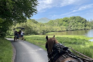 Summer 2026 - An Ireland Special!